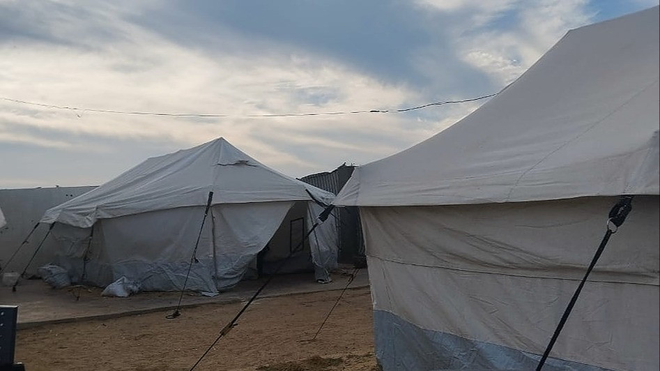 White tents in Gaza refugee camp where displaced families, including Amira and her children, are forced to live.